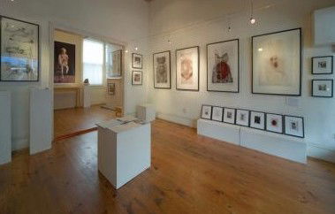 Bird's Gallery - Redcliffe Tourism 0