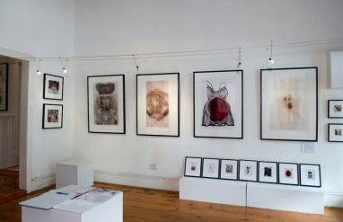 Bird's Gallery - Redcliffe Tourism 1