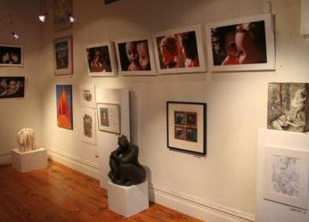 Bird's Gallery - Redcliffe Tourism 2