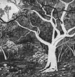 Tacit Contemporary Art - Redcliffe Tourism 0