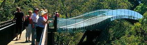 Kings Park Botanic Gardens - Redcliffe Tourism 1