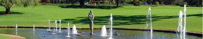 Kings Park Botanic Gardens - Redcliffe Tourism 3