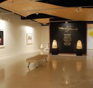 Counihan Gallery In Brunswick - Redcliffe Tourism