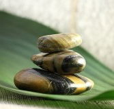 The Nature of Balance - Redcliffe Tourism