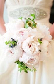 Karralyka Centre - Redcliffe Tourism 3