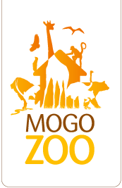 Mogo NSW Redcliffe Tourism