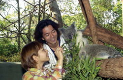 Taronga Zoo - Redcliffe Tourism 2