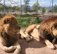 Mansfield Zoo - Redcliffe Tourism
