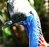 Alma Park Zoo - Redcliffe Tourism