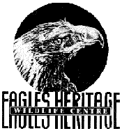 Eagles Heritage - Redcliffe Tourism