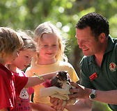 Cleland Wildlife Park - Redcliffe Tourism