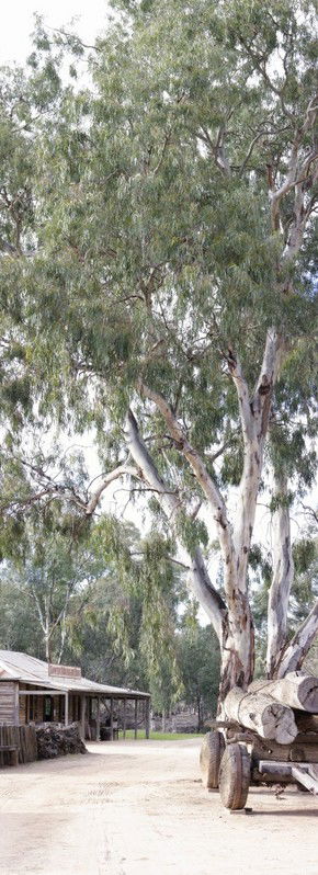 Pioneer Settlement - Redcliffe Tourism 1