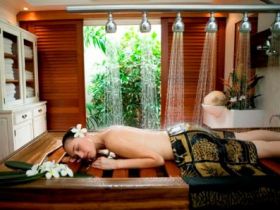 Peppers Spa - Palm Cove - Redcliffe Tourism 0