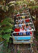 Scenic World Blue Mountains - Redcliffe Tourism 2