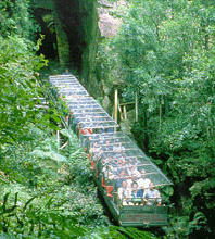 Scenic World Blue Mountains - Redcliffe Tourism 3