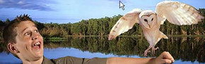 Territory Wildlife Park - Redcliffe Tourism 2