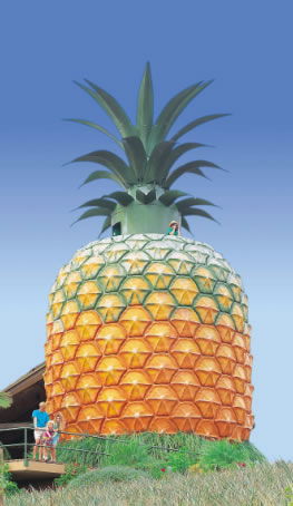 The Big Pineapple - Redcliffe Tourism 0