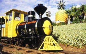 The Big Pineapple - Redcliffe Tourism 3