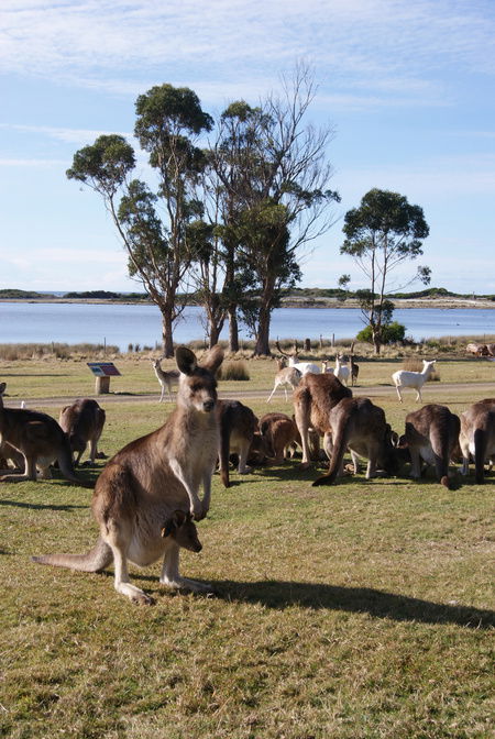 East Coast Natureworld - Redcliffe Tourism 1