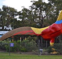 Gumbuya Park - Redcliffe Tourism
