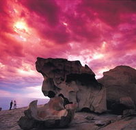 Kangaroo Island Adventure Tour 2 day/1 night - Redcliffe Tourism