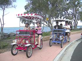 Beach Safaris - Redcliffe Tourism 0