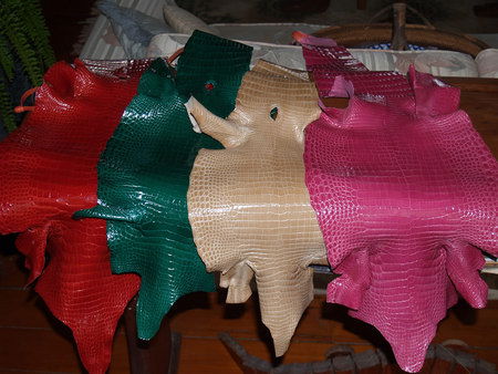 Koorana Saltwater Crocodile Farm - Redcliffe Tourism 2