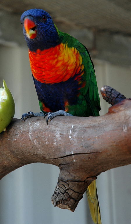 Bunbury Wildlife Park - Redcliffe Tourism 3