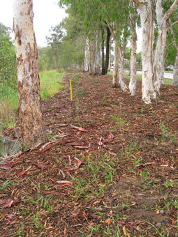 Kumbartcho Sanctuary - Redcliffe Tourism 1