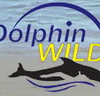 Dolphin Wild - Redcliffe Tourism