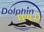 Dolphin Wild - Redcliffe Tourism 0
