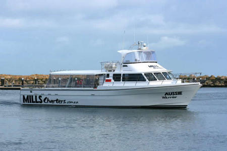 Mills Charters Fishing And Whale Watch Cruises - Redcliffe Tourism 1