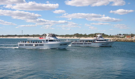 Mills Charters Fishing And Whale Watch Cruises - Redcliffe Tourism 2