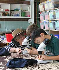 Australian National Botanic Gardens - Redcliffe Tourism 2