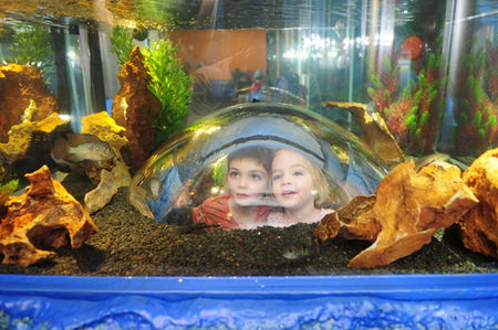 Scitech - Redcliffe Tourism 3