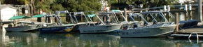 Brooklyn Central Boat Hire & General Store - Redcliffe Tourism 1