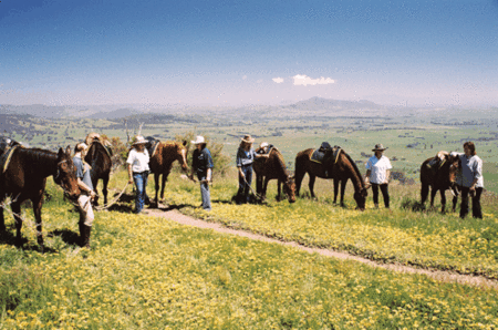 Watsons Trail Rides - Redcliffe Tourism 1