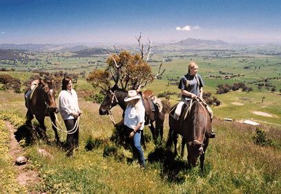 Watsons Trail Rides - Redcliffe Tourism 2