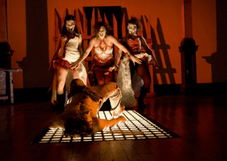 Zen Zen Zo Physical Theatre - Redcliffe Tourism 1