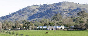 Blue Gum Farm - Redcliffe Tourism 1