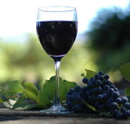 Lion Mill Vineyards - Redcliffe Tourism