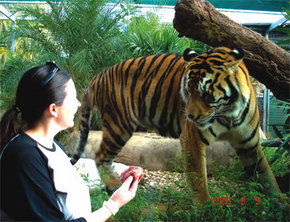 Crocodylus Park - Redcliffe Tourism 1