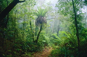 Canungra QLD Redcliffe Tourism