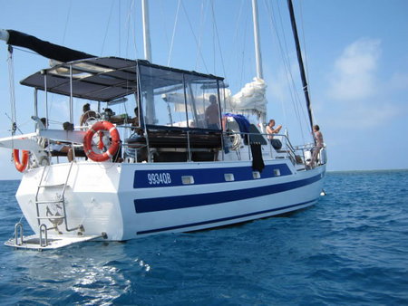 Coral Sea Dreaming Dive And Sail - Redcliffe Tourism 3