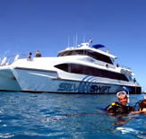 Silver Swift - Redcliffe Tourism