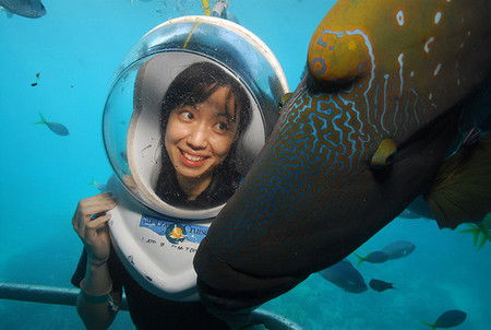 Sunlover Reef Cruises - Redcliffe Tourism 0