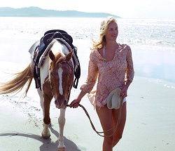 Ride The Beach - Redcliffe Tourism 3
