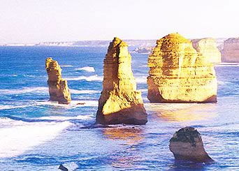 Bunyip Tours - Redcliffe Tourism 3