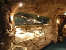 The National Opal Collection - Redcliffe Tourism 2