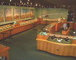 The National Opal Collection - Redcliffe Tourism 3